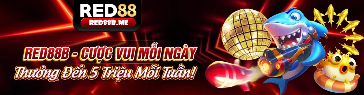 FK88 Khuyến Mãi 2026 - Tối ưu hóa trải nghiệm cá cược