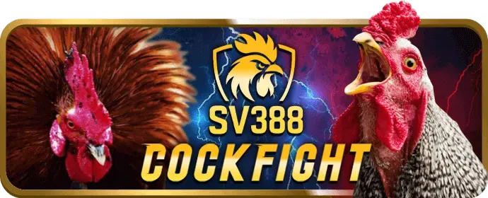 Chương Trình VIP FK88